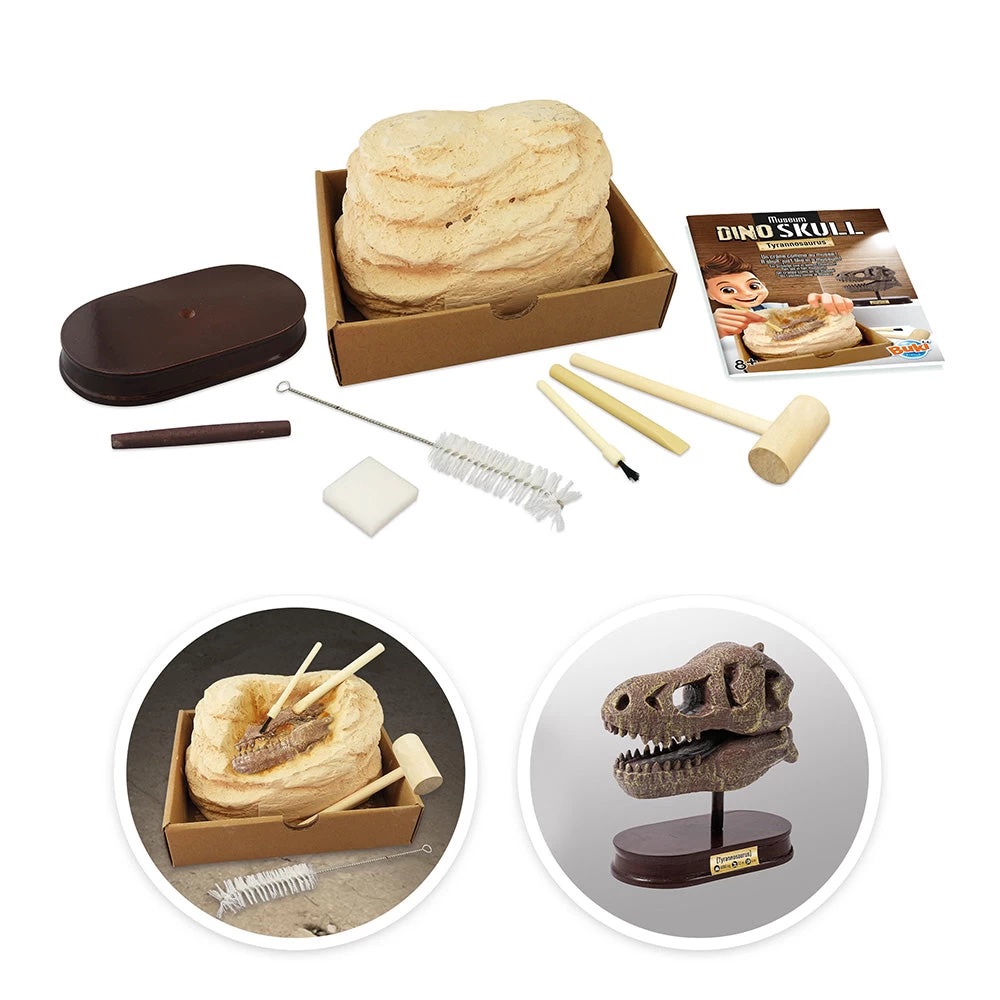 BUKI France Dinosaur Skull - Tyrannosaurus - Image 3