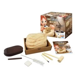 BUKI France Dinosaur Skull - Triceratops